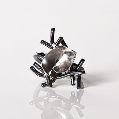 Nest Ring