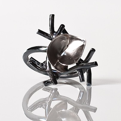 Nest Ring