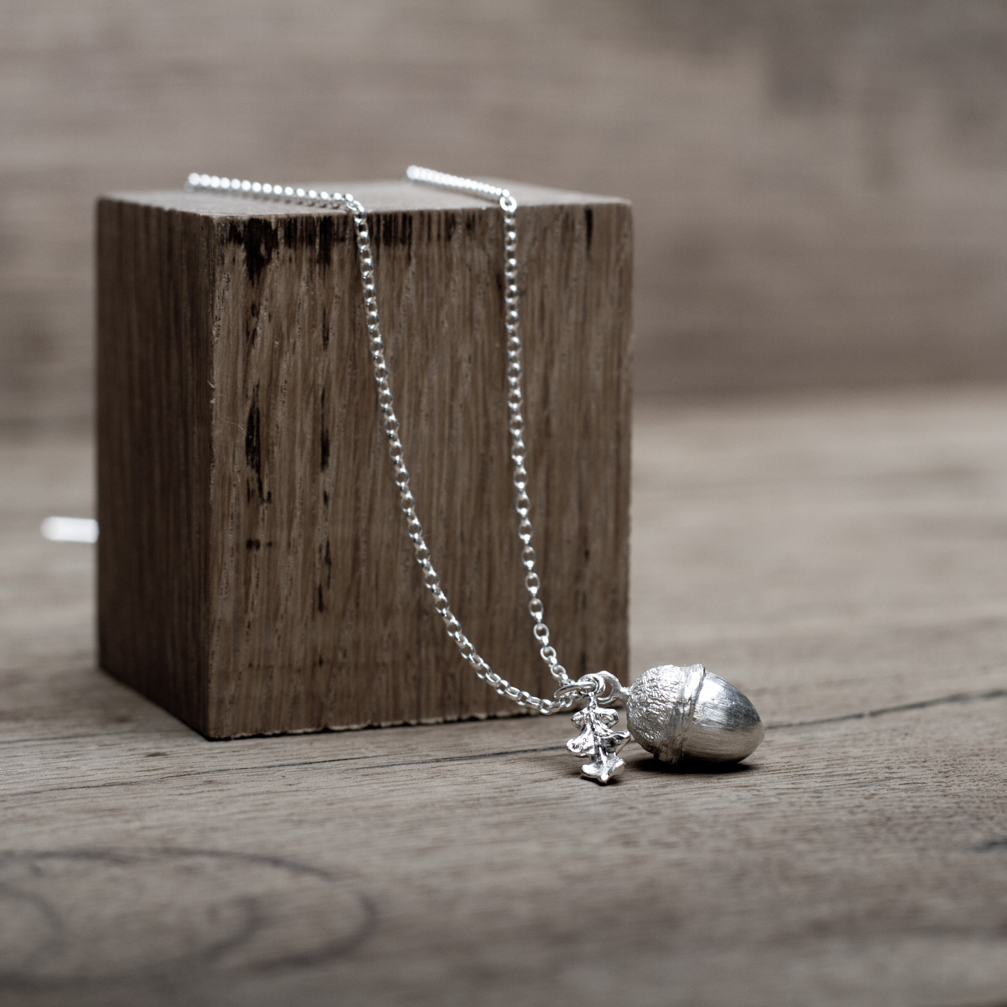 The Young English Acorn with Leaf