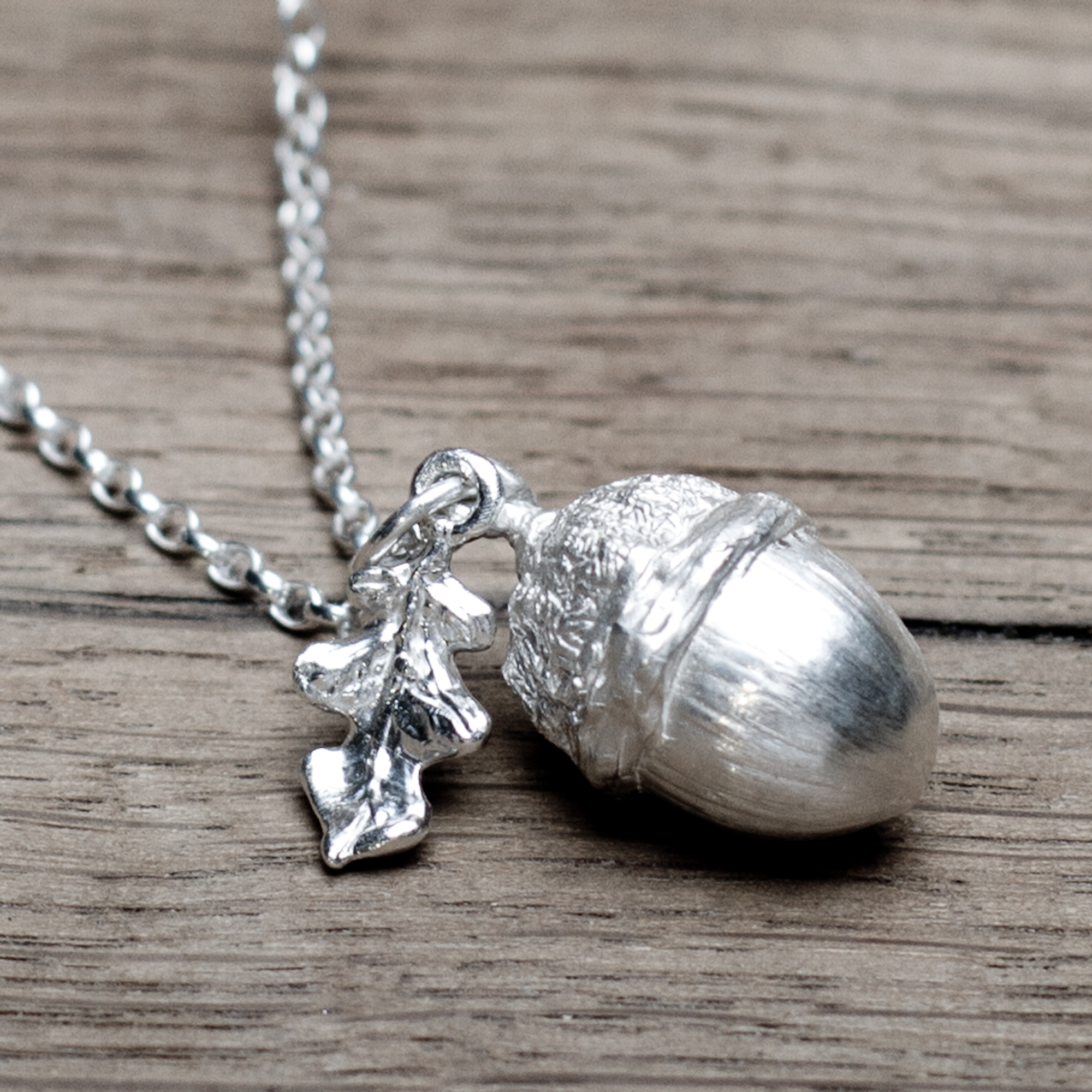 The Young English Acorn with Leaf