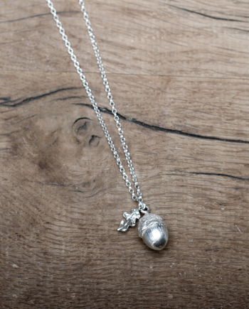 The Young English Acorn with Leaf