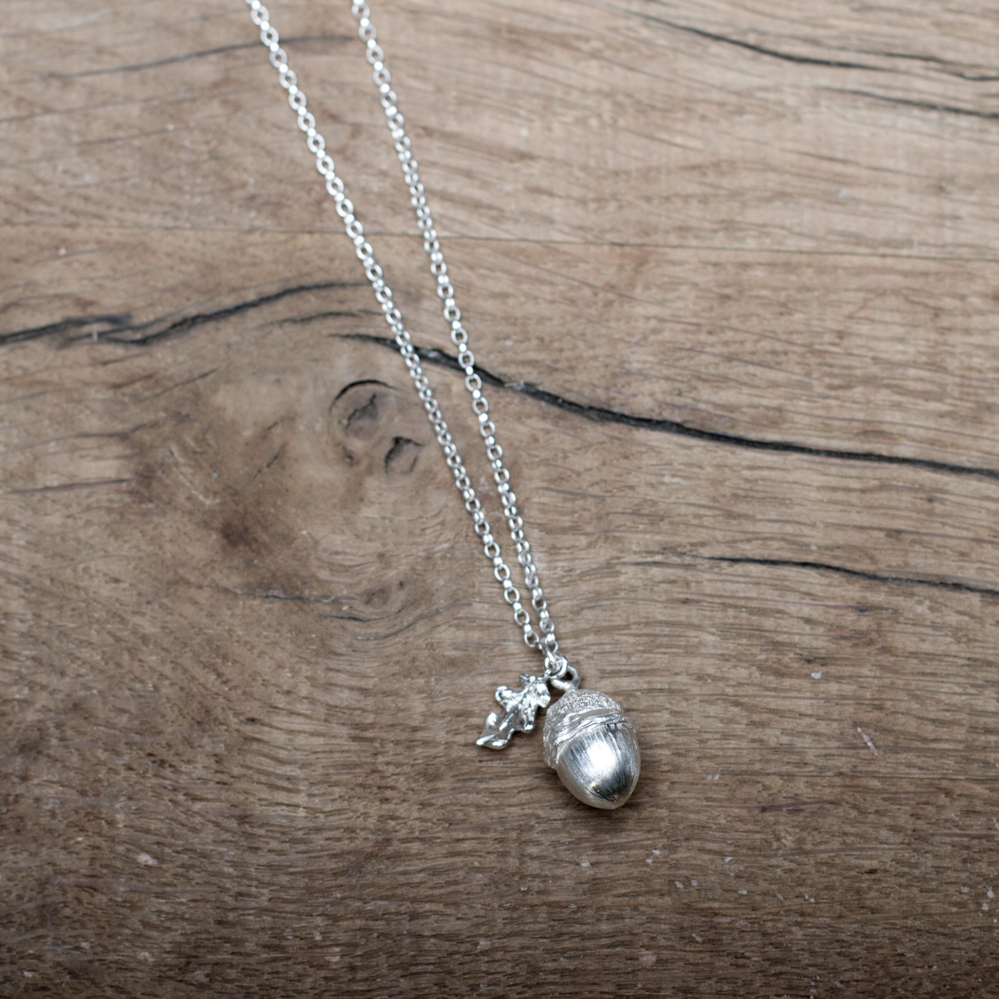 The Young English Acorn with Leaf